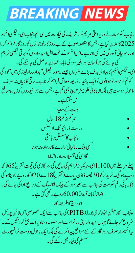 CM Punjab E-Taxi Scheme 2025